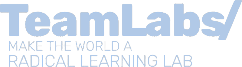 Teamlabs University
